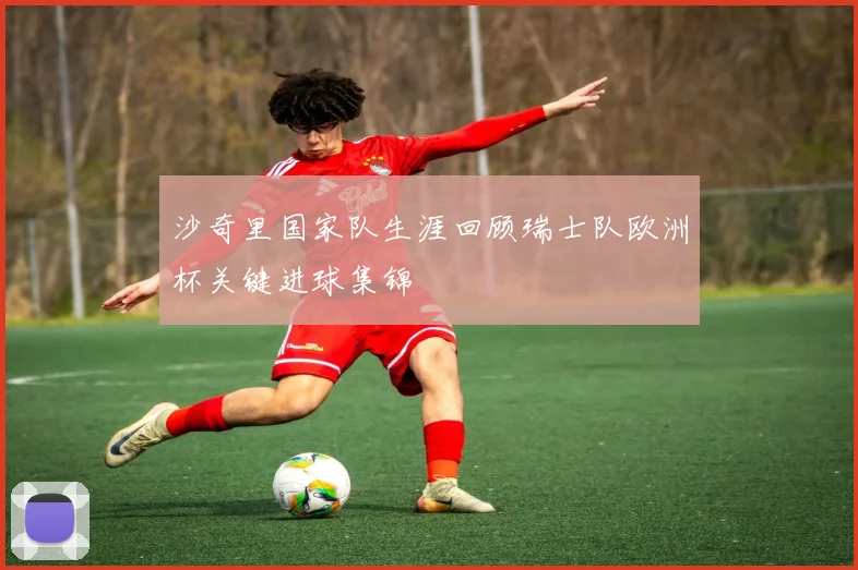 沙奇里国家队生涯回顾瑞士队欧洲杯关键进球集锦