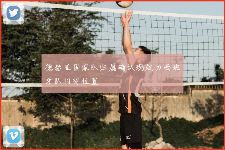 德赫亚国家队归属确认现效力西班牙队门将位置