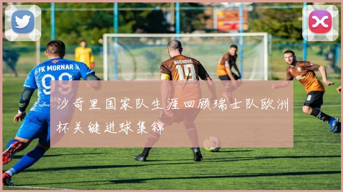 沙奇里国家队生涯回顾瑞士队欧洲杯关键进球集锦