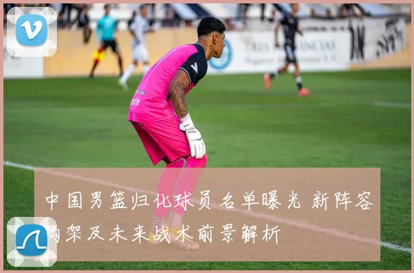 中国男篮归化球员名单曝光 新阵容构架及未来战术前景解析