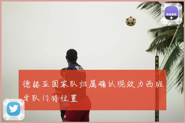 德赫亚国家队归属确认现效力西班牙队门将位置