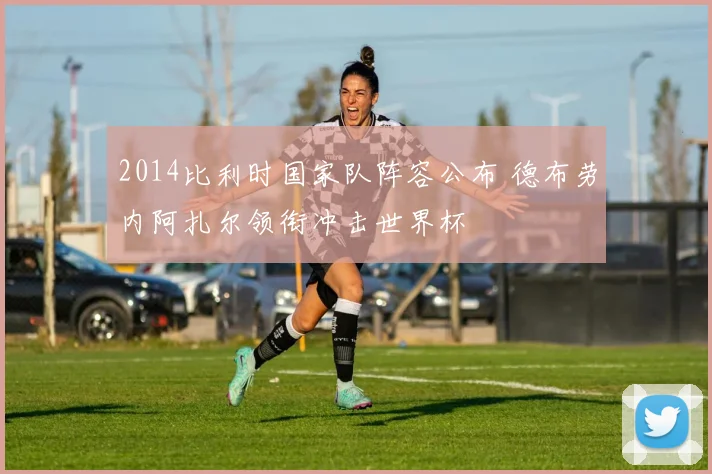 2014比利时国家队阵容公布 德布劳内阿扎尔领衔冲击世界杯